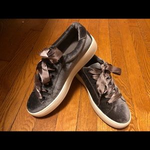 Steve Madden Heather Gray Velvet  sneaker